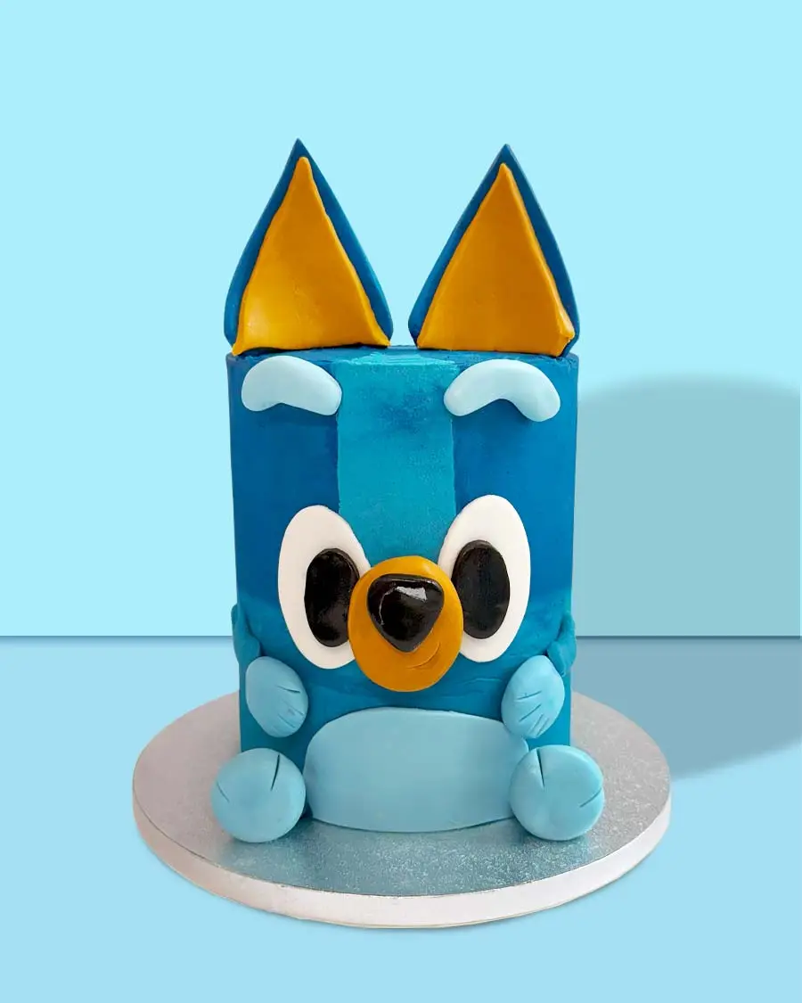 bluey cake kids cakes London Wembley Harrow
