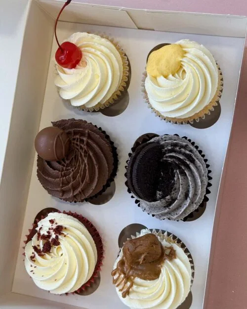 premium-cupcakes-london-wembley-harrow5